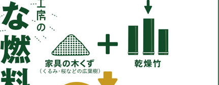 �����|�{�Ƌ�̖؂����i����݁E���Ȃǂ̍L�t���j